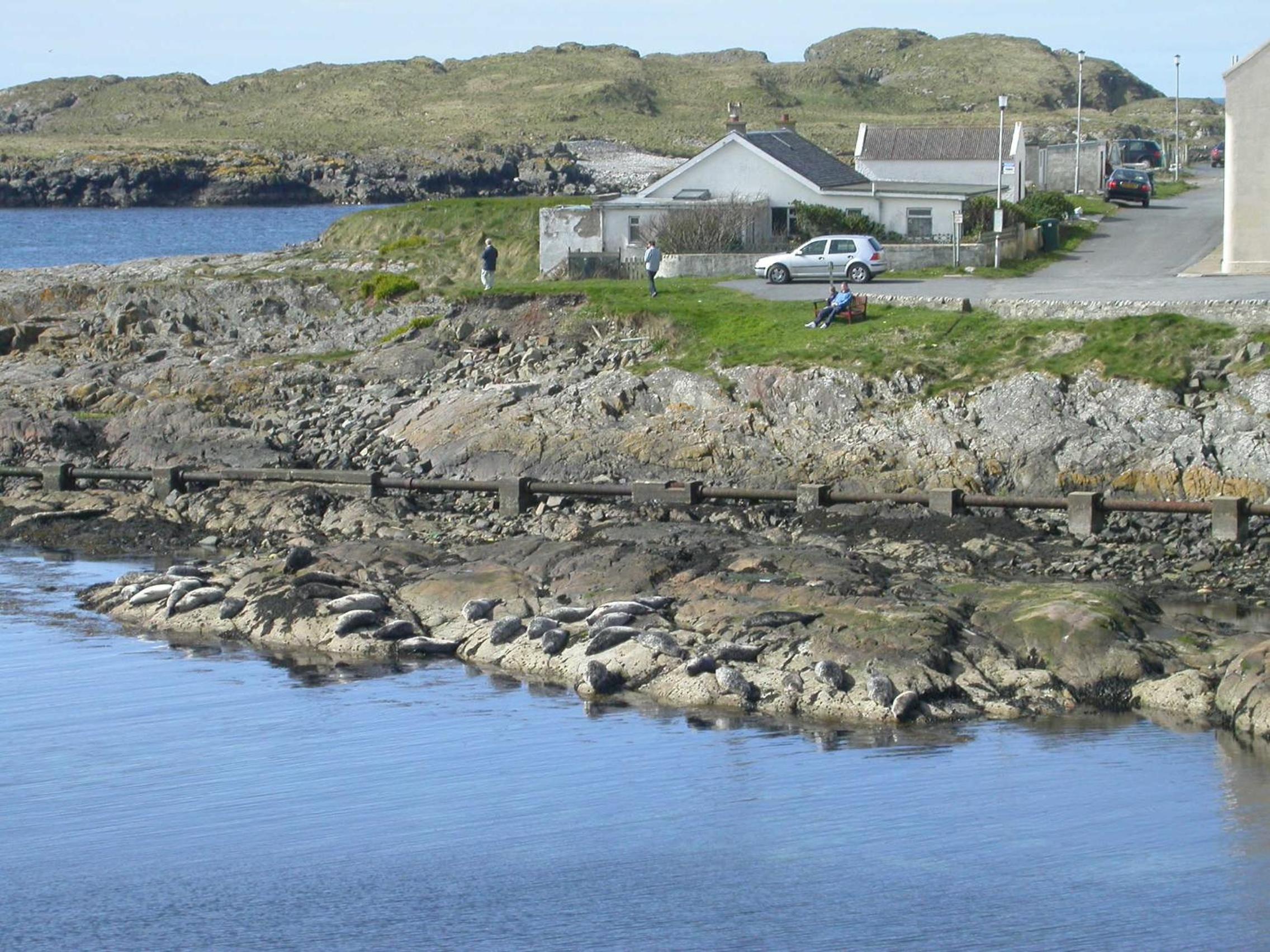Seal Cottage