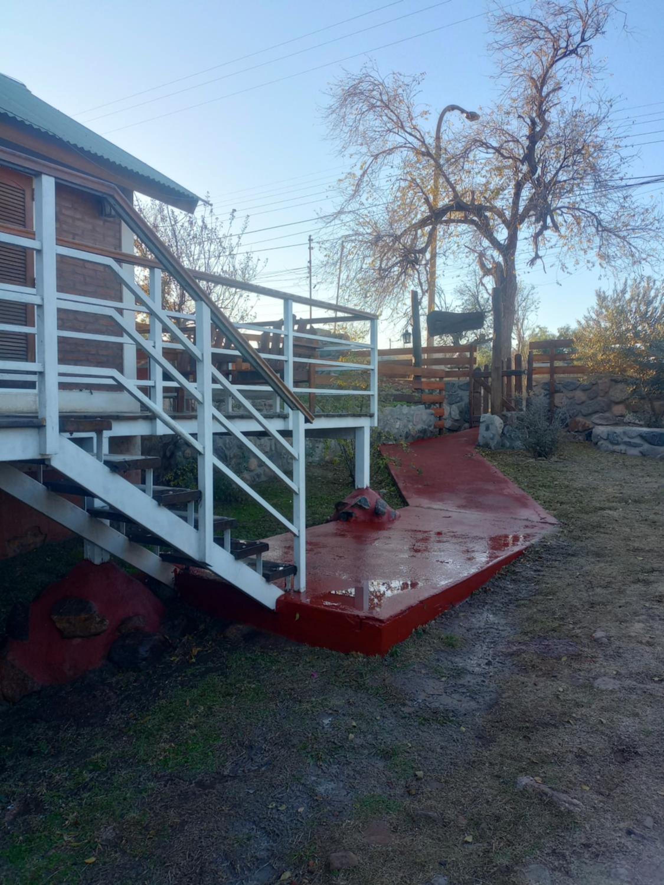 Los olivos