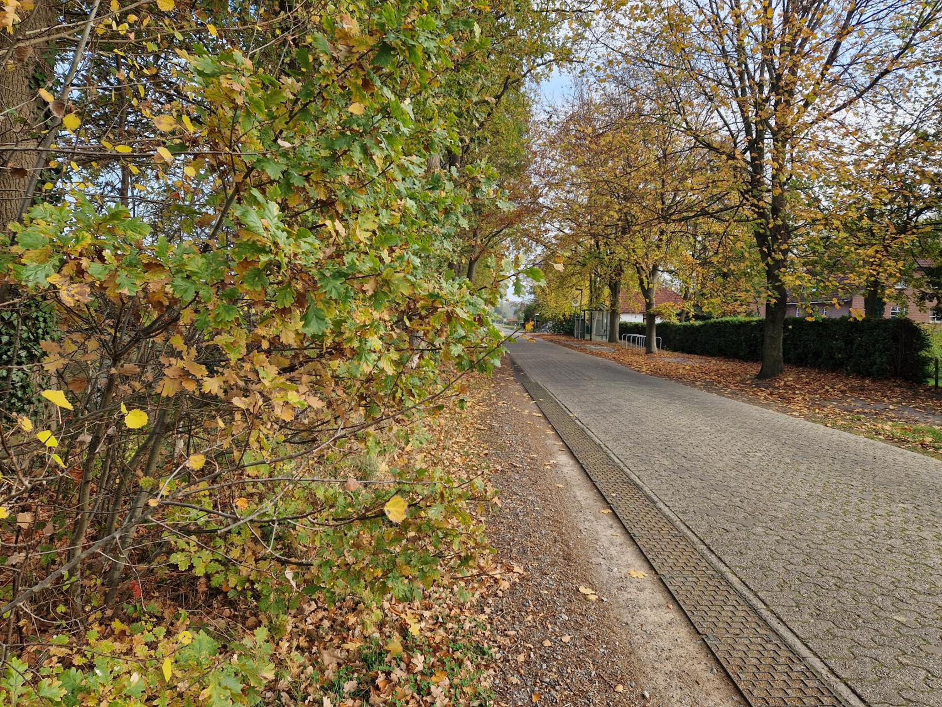 Gemütliche Wohnung direkt am Küstenkanal!