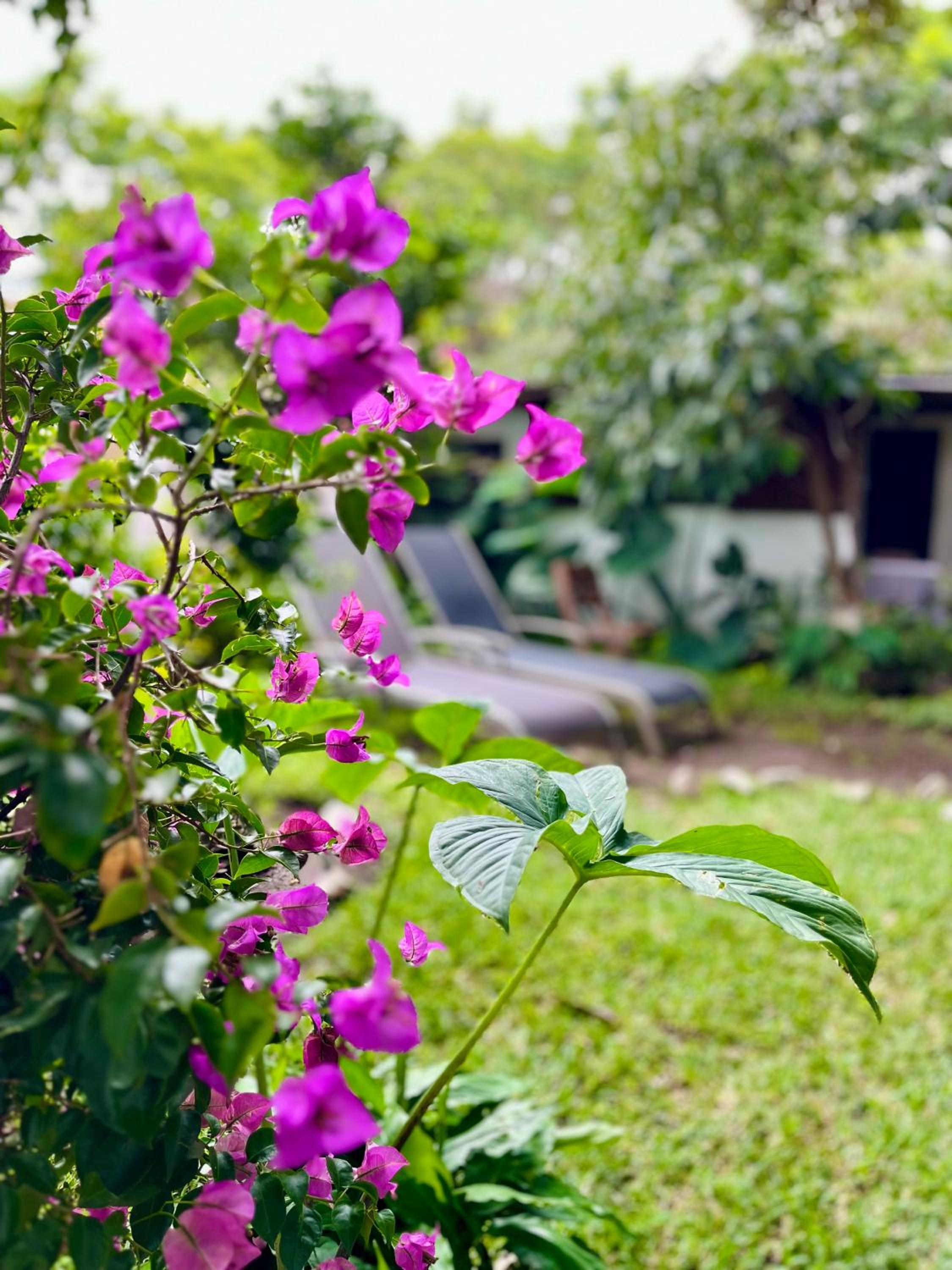 Hostal Antigüeño