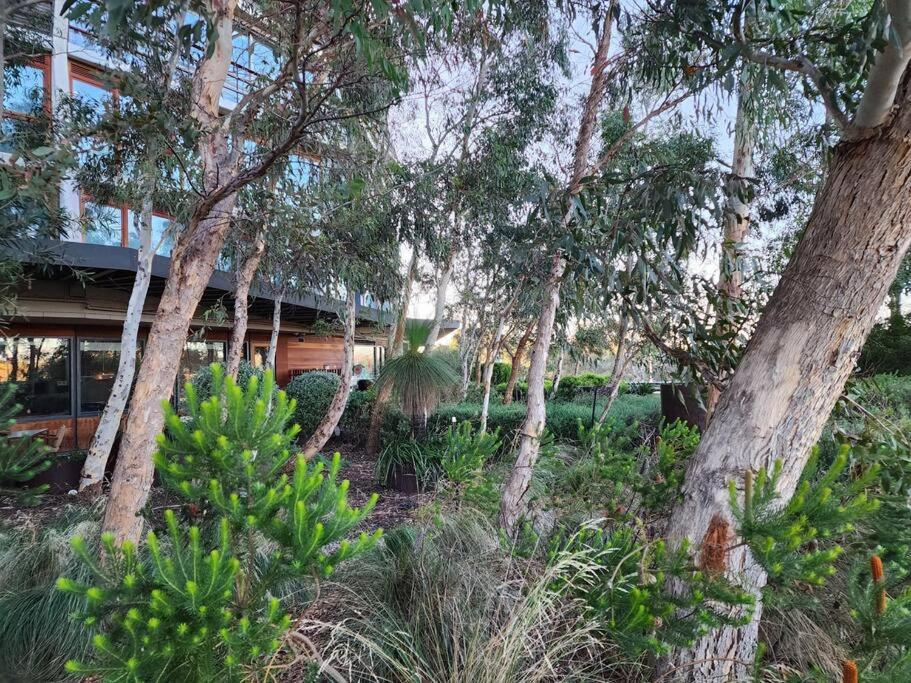 GREEN ROSE Quiet Spacious Lakeside Carpark Exceptional 70m2