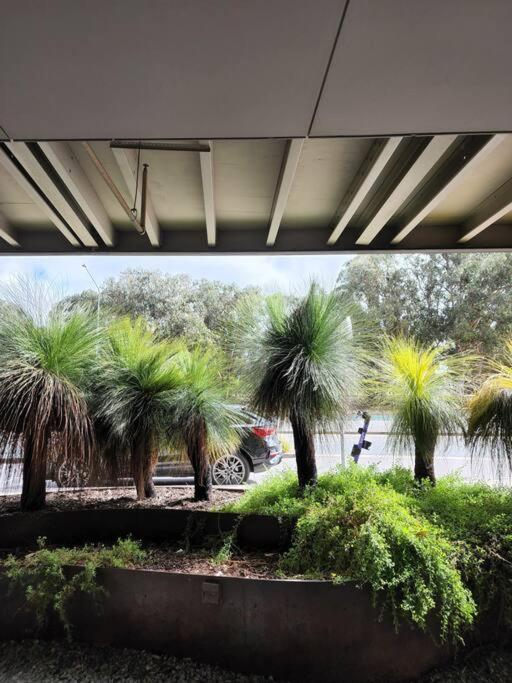 GREEN ROSE Quiet Spacious Lakeside Carpark Exceptional 70m2