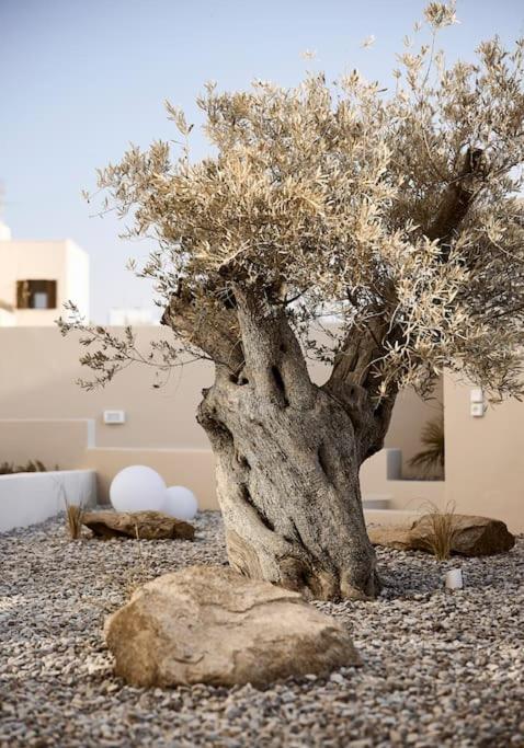 Aelios Villa Naxos photo 2