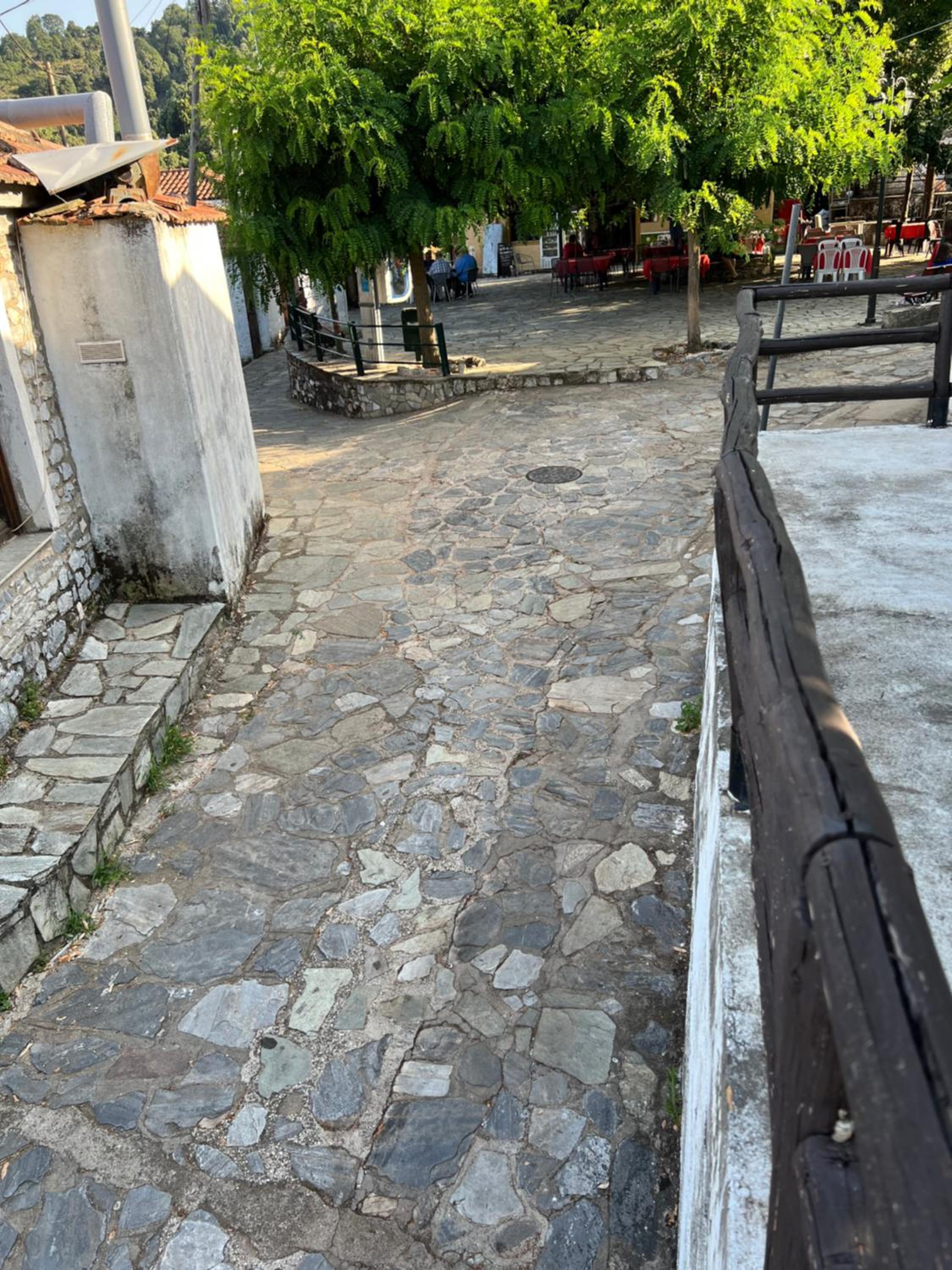 Traditional village house