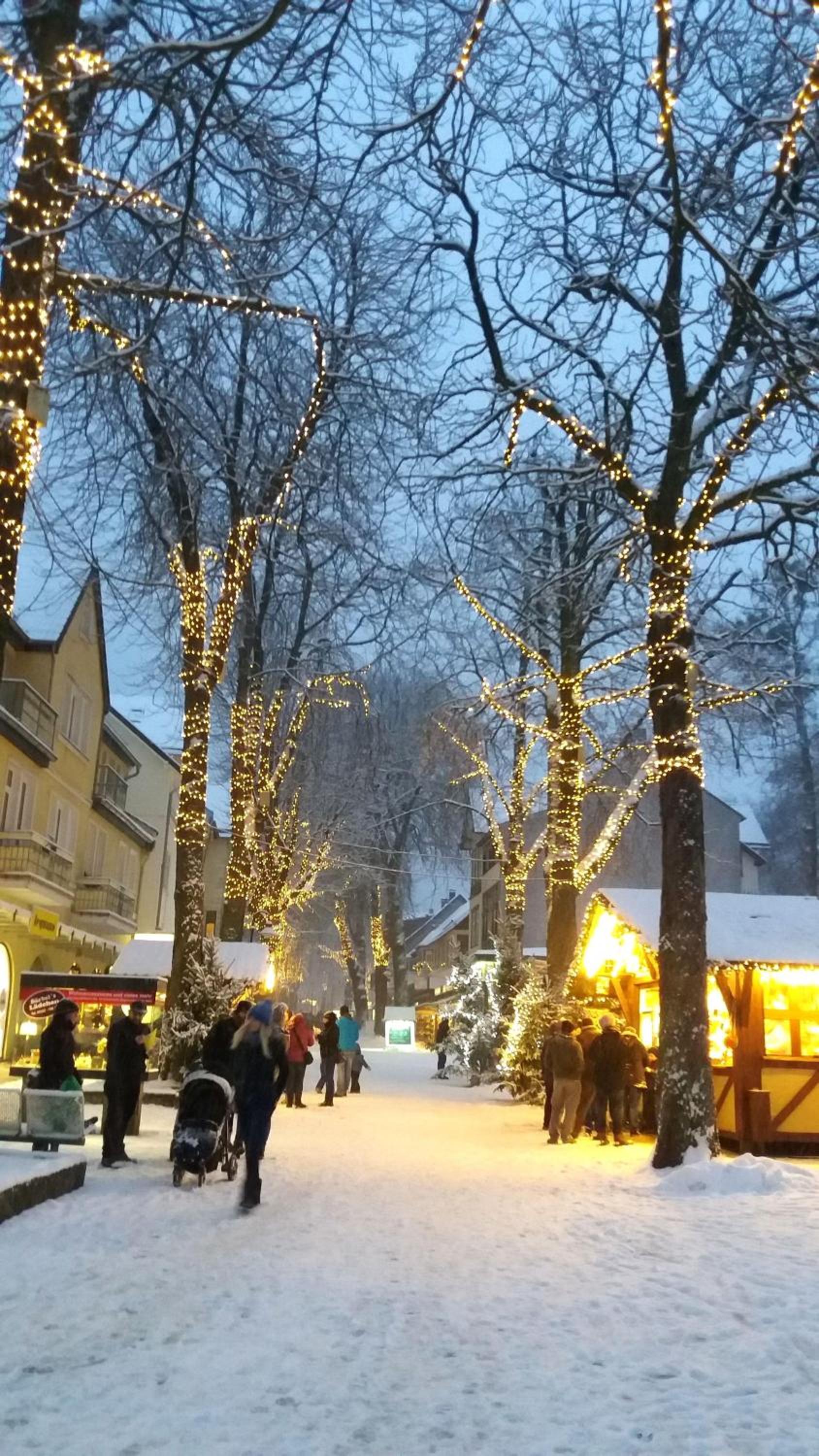 FeWo-Radau