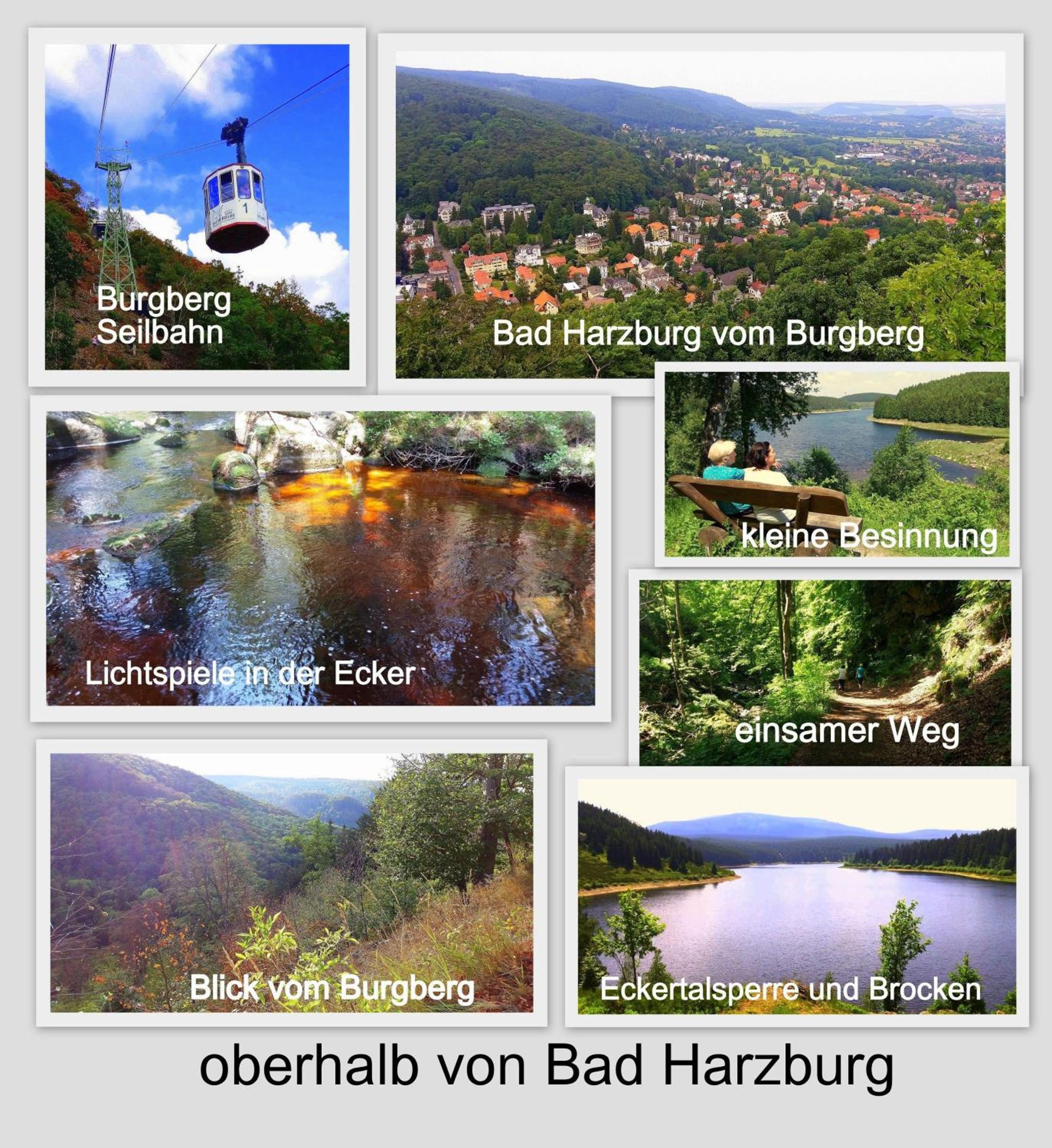FeWo-Radau