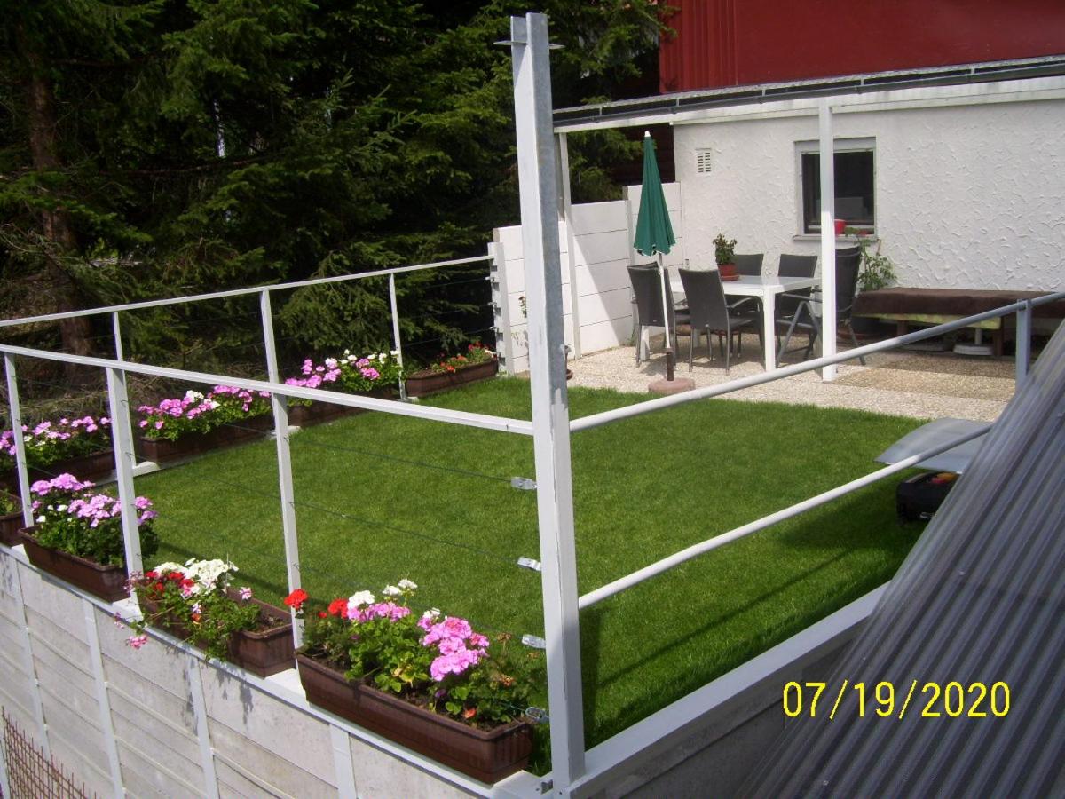 Photo 7
