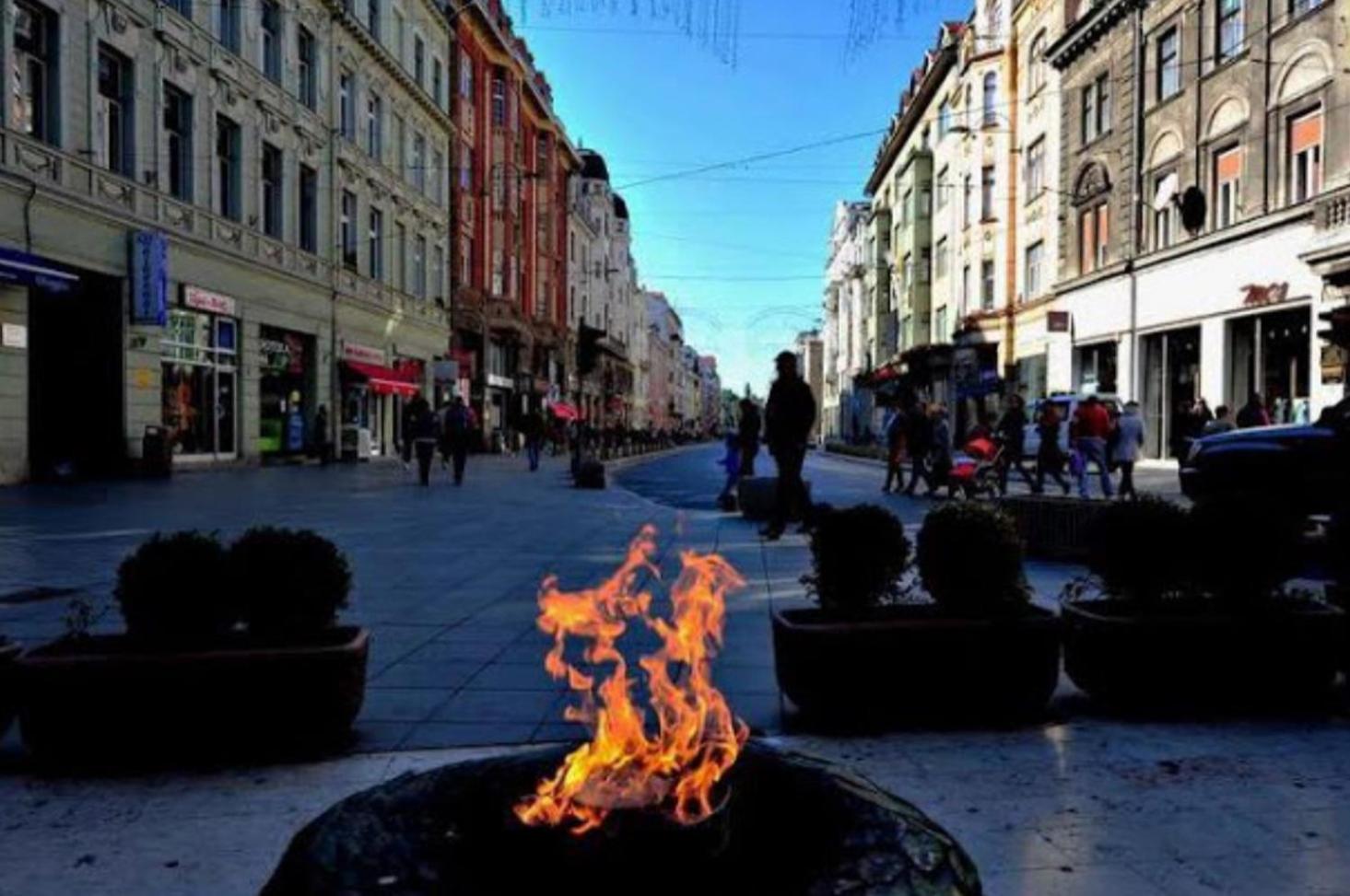 Photo 9