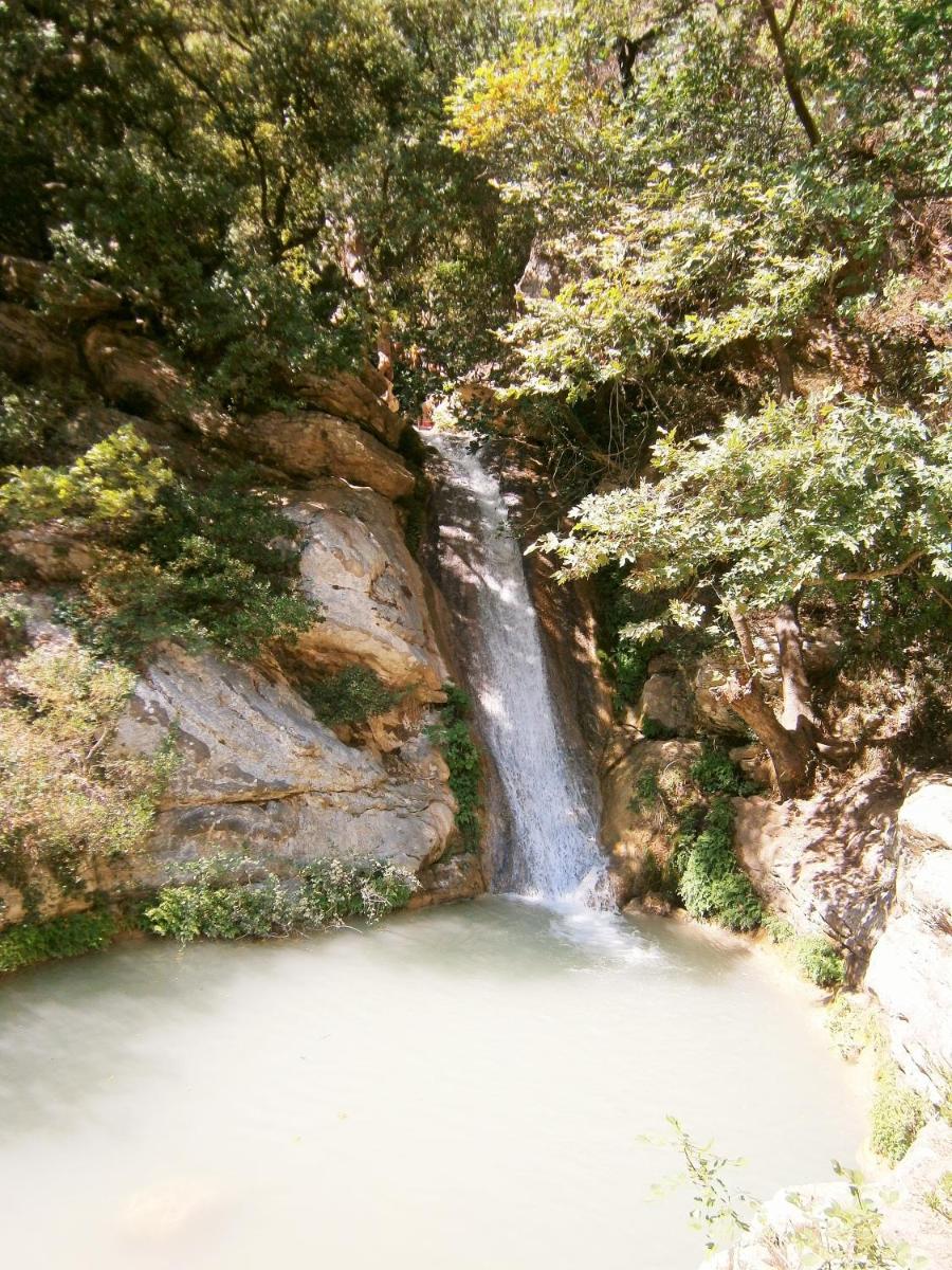 Photo 50