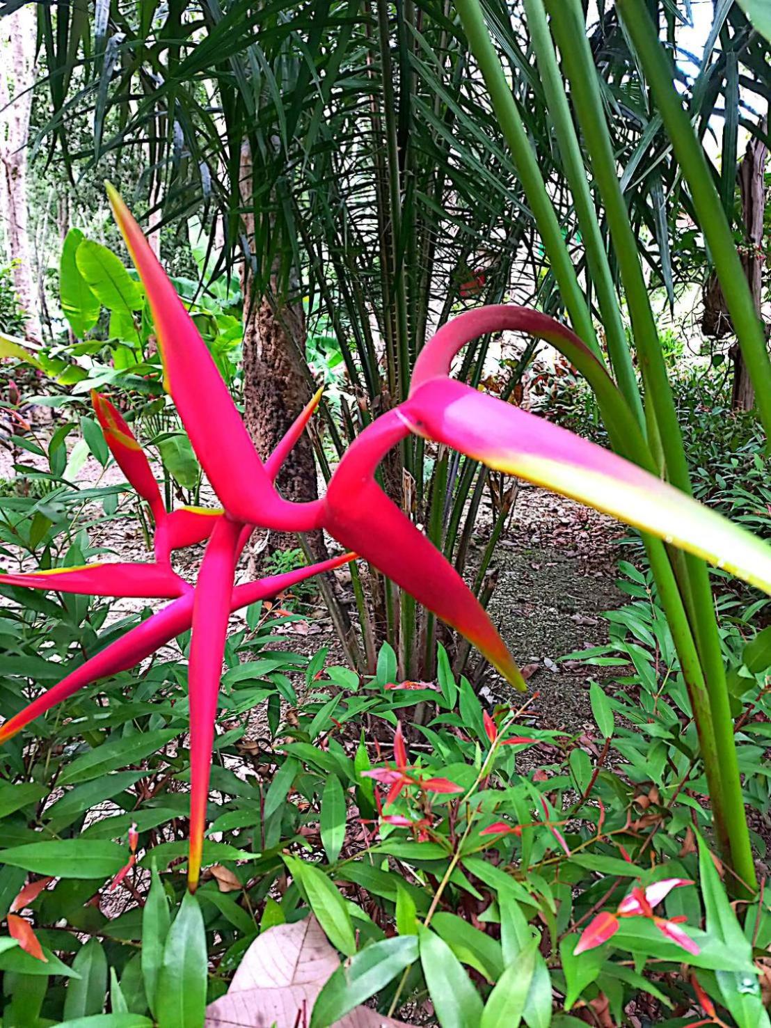 Lanta Maikeaw Bungalow