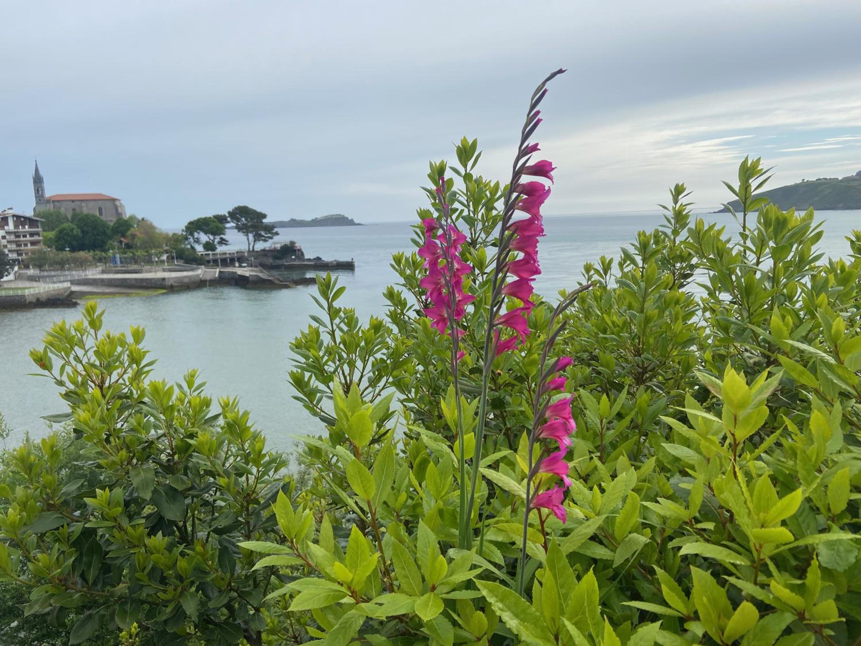 Mundaka Beachfront House