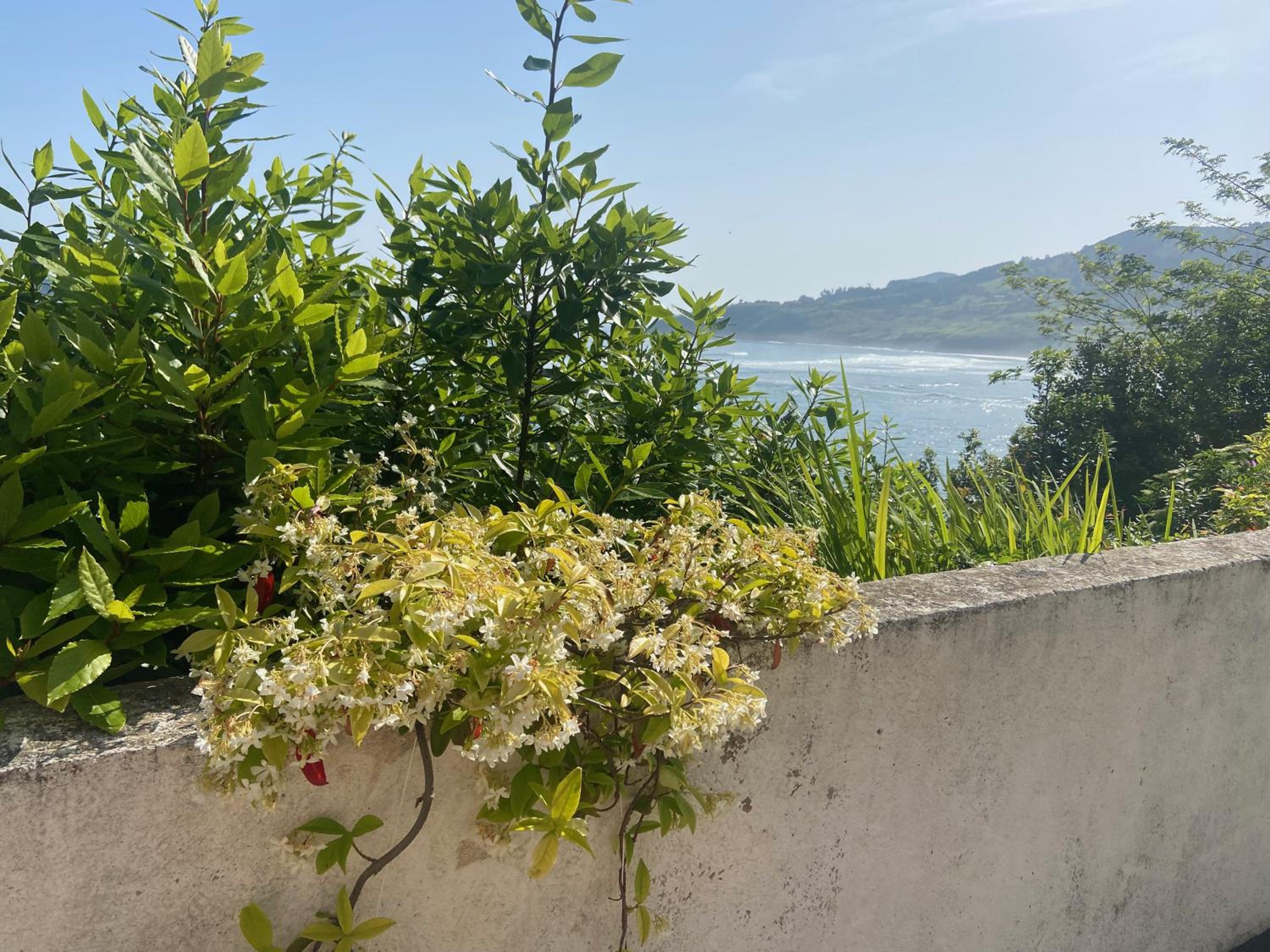 Mundaka Beachfront House