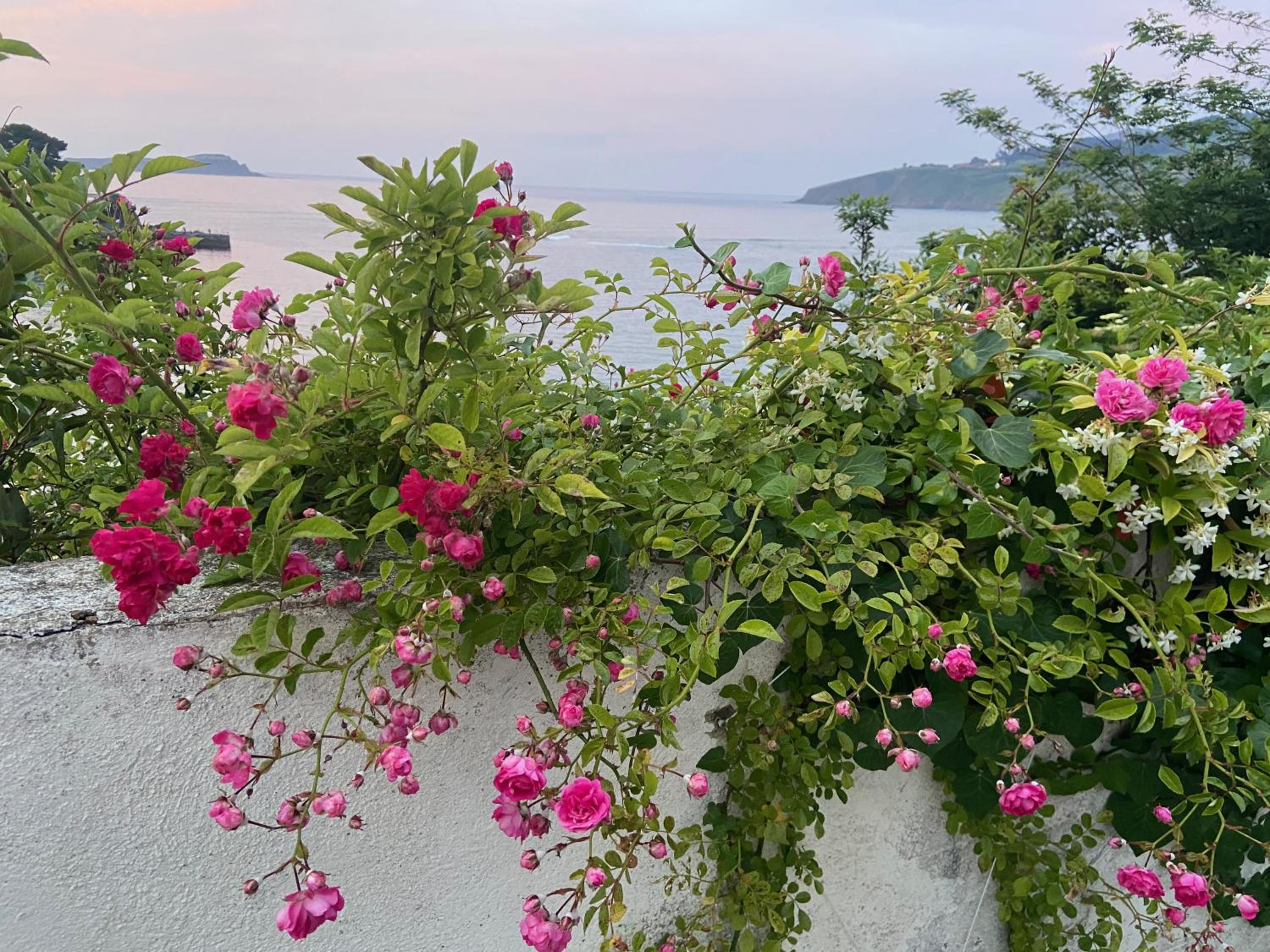 Mundaka Beachfront House