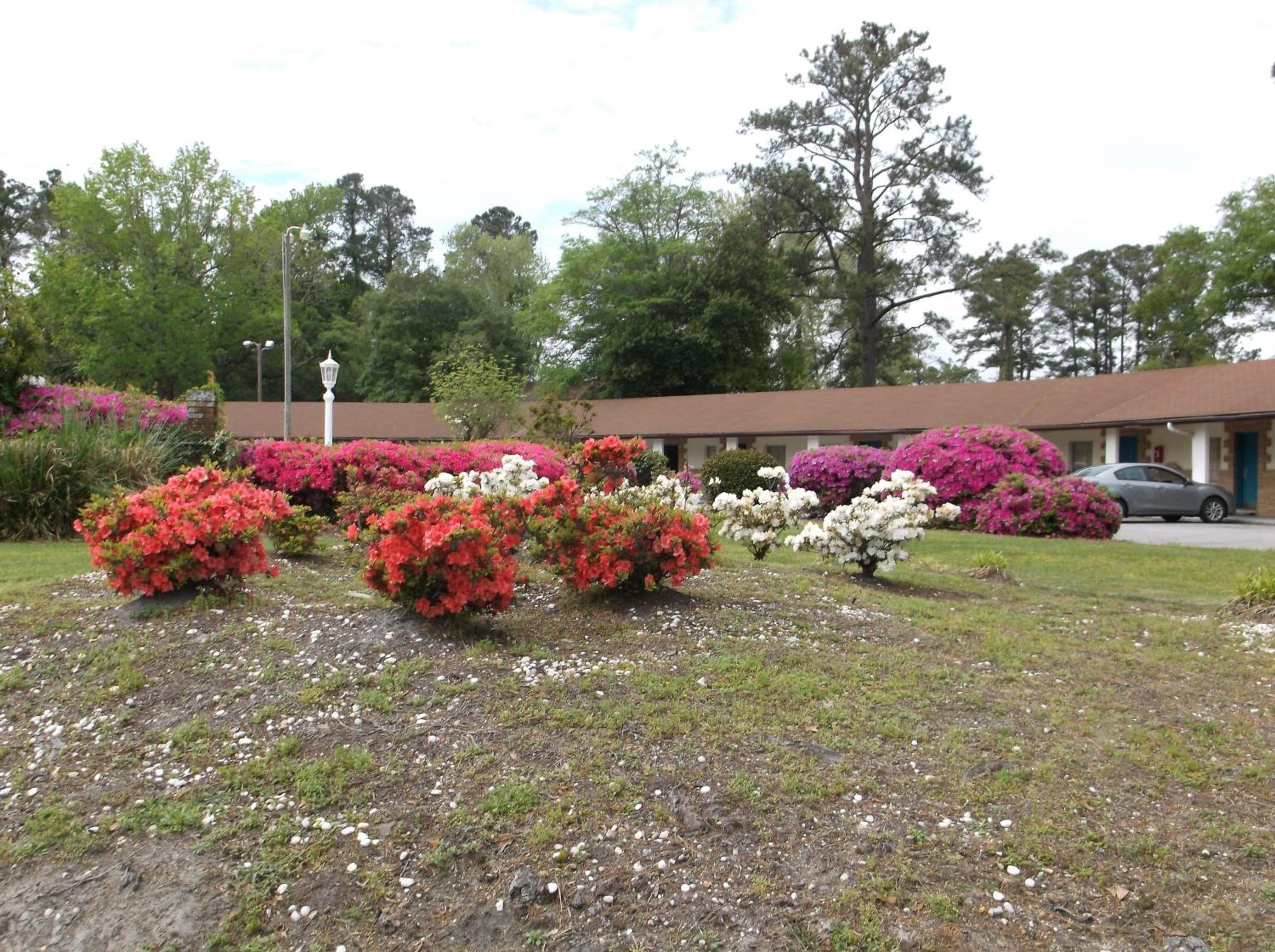 Azalea Inn & Suites, photo 10