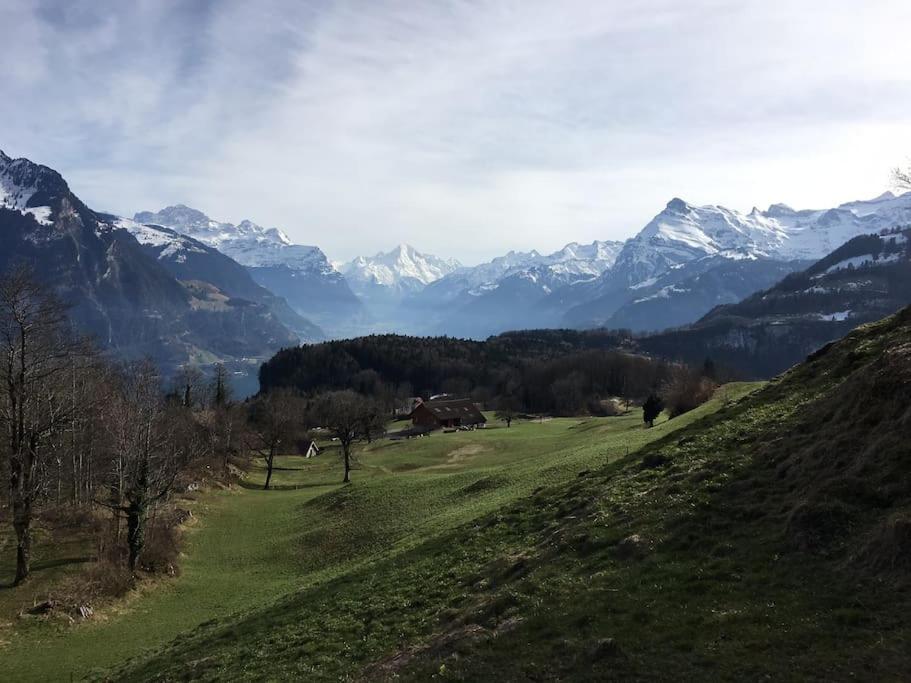 Guest Flat in the Swiss Mountains (Lake View)