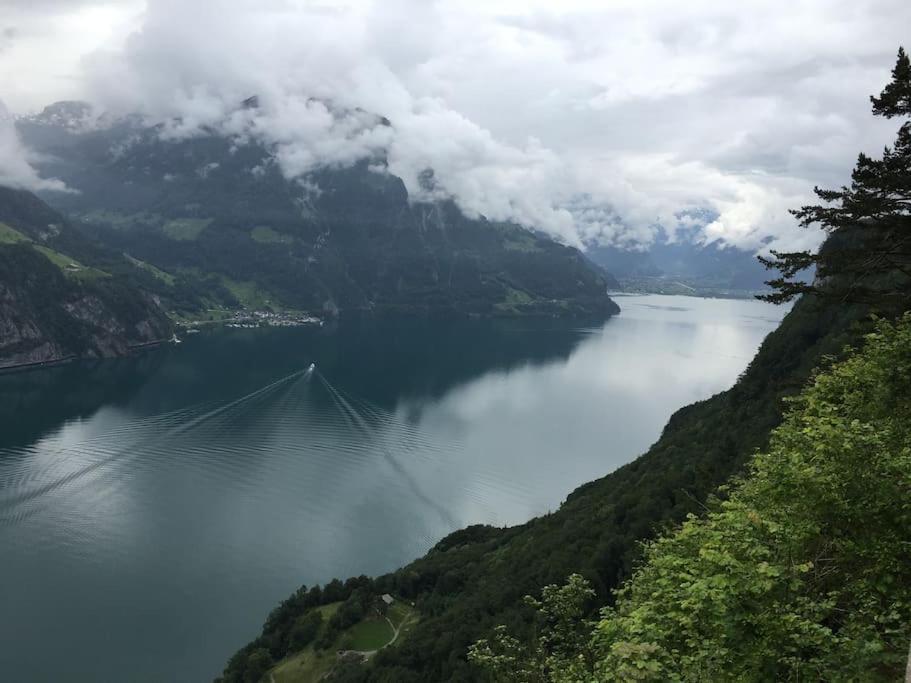Guest Flat in the Swiss Mountains (Lake View)