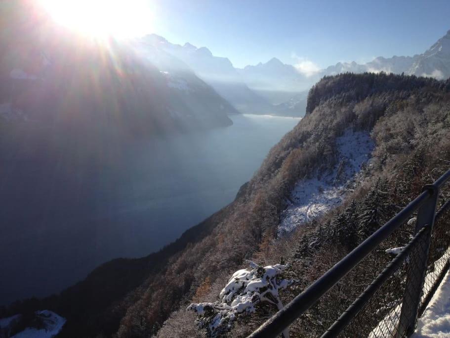 Guest Flat in the Swiss Mountains (Lake View)