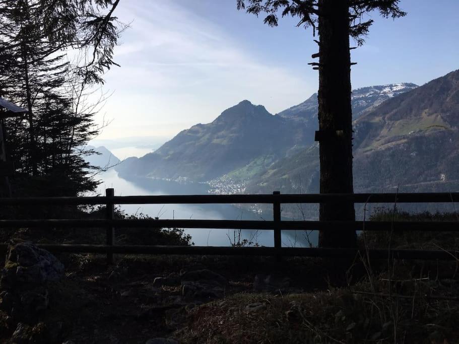 Guest Flat in the Swiss Mountains (Lake View)