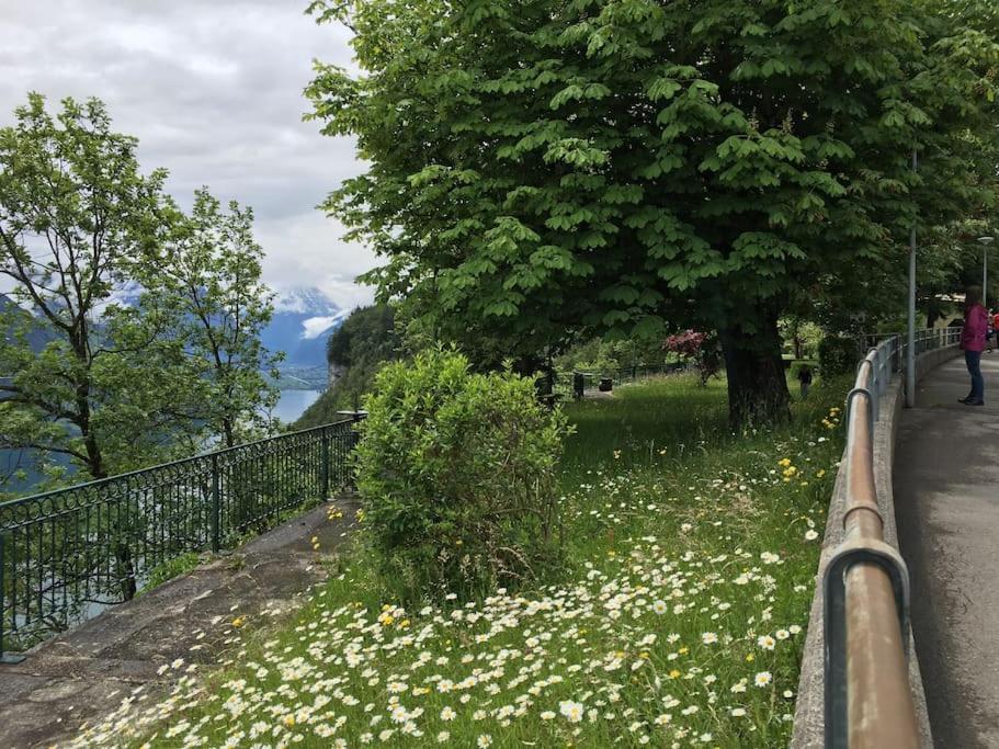 Guest Flat in the Swiss Mountains (Lake View)