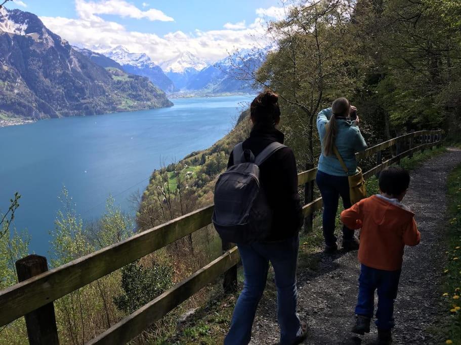 Guest Flat in the Swiss Mountains (Lake View)