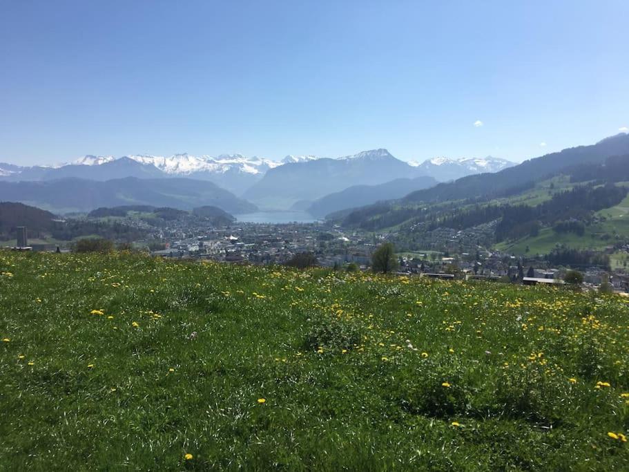 Guest Flat in the Swiss Mountains (Lake View)