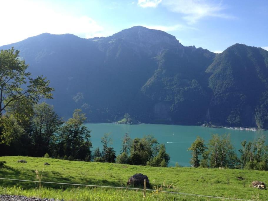 Guest Flat in the Swiss Mountains (Lake View)