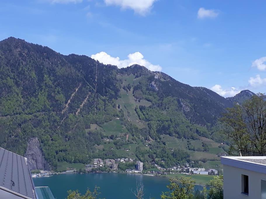 Guest Flat in the Swiss Mountains (Lake View)