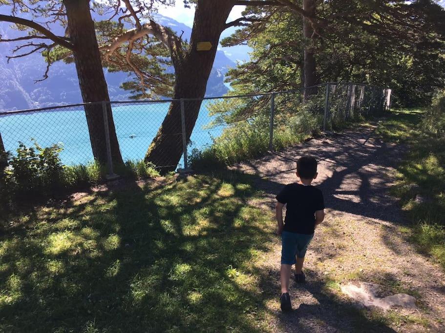 Guest Flat in the Swiss Mountains (Lake View)