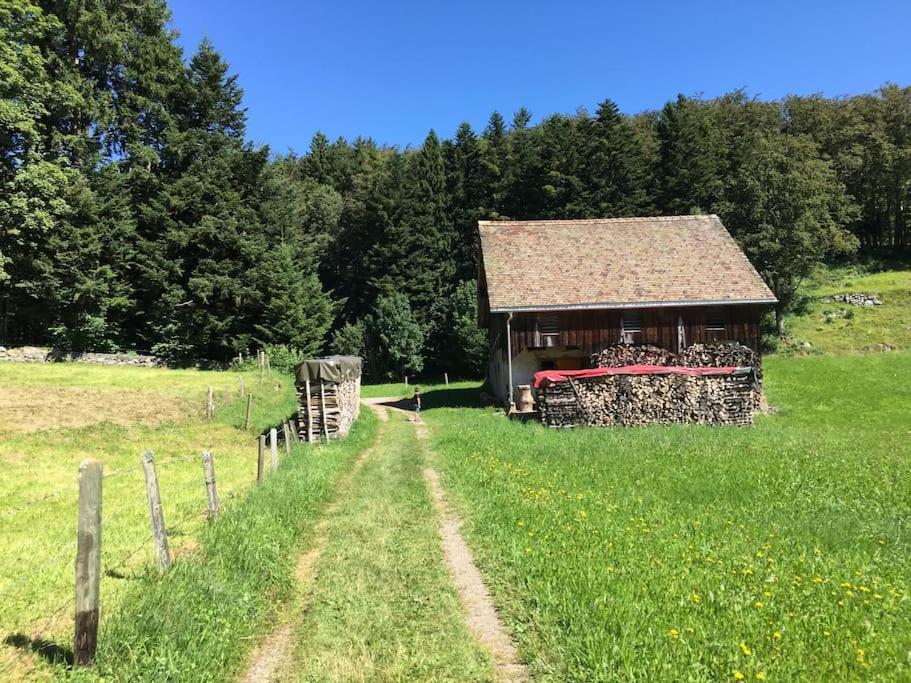 Guest Flat in the Swiss Mountains (Lake View)