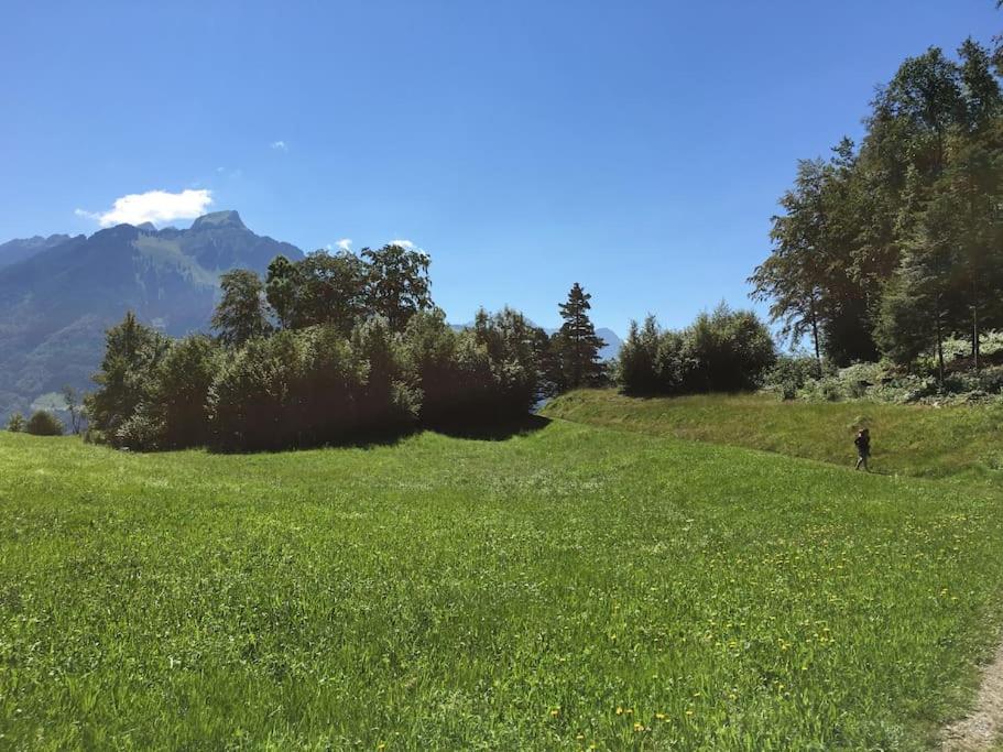 Guest Flat in the Swiss Mountains (Lake View)