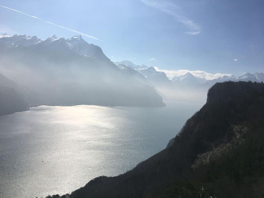 Guest Flat in the Swiss Mountains (Lake View)