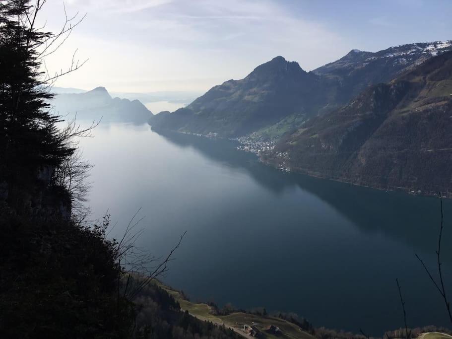 Guest Flat in the Swiss Mountains (Lake View)