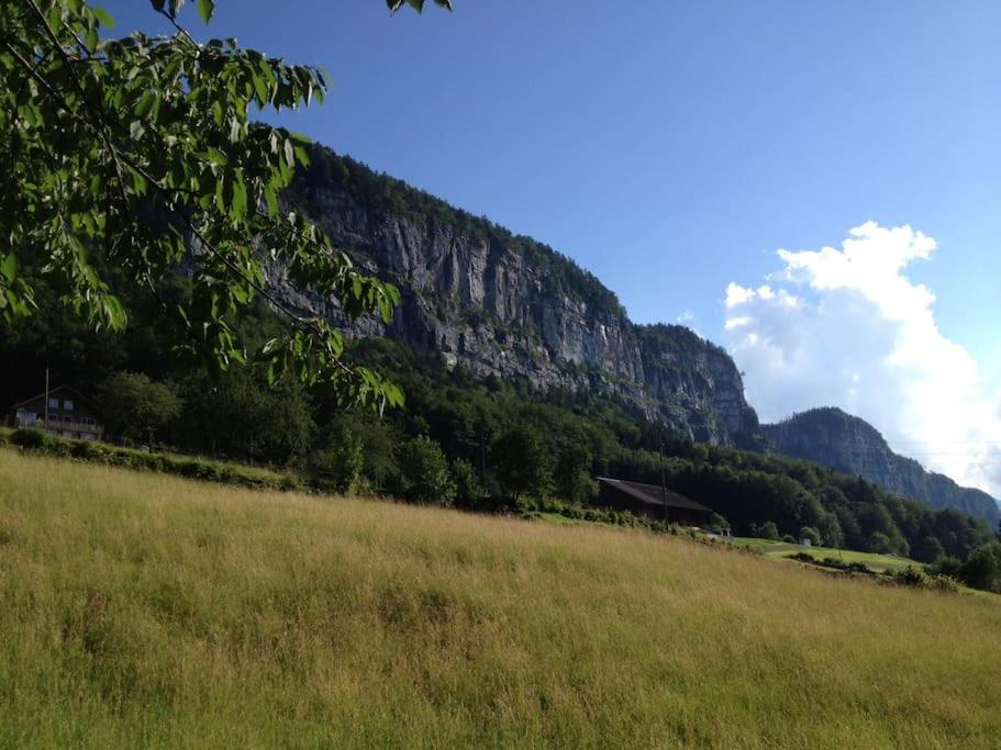 Guest Flat in the Swiss Mountains (Lake View)