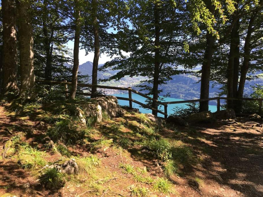 Guest Flat in the Swiss Mountains (Lake View)