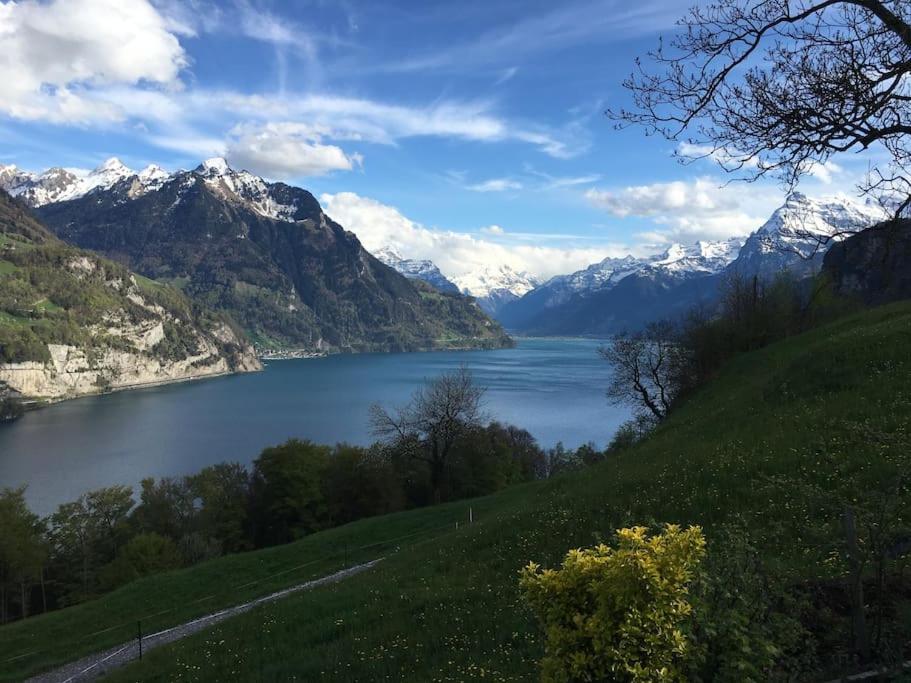 Guest Flat in the Swiss Mountains (Lake View)