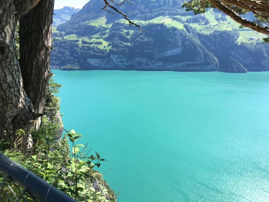 Guest Flat in the Swiss Mountains (Lake View)
