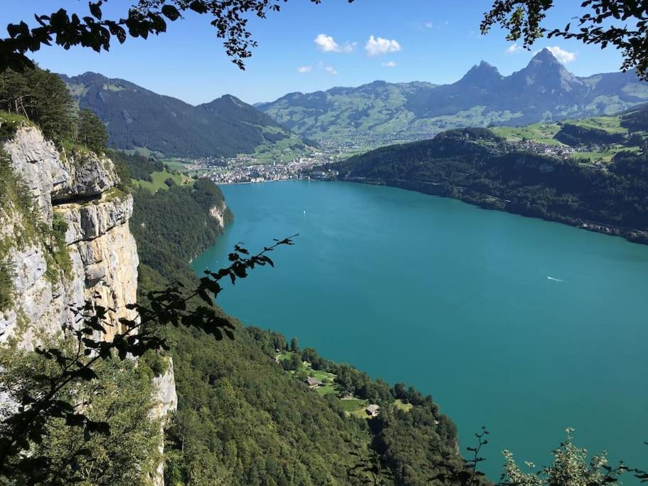 Guest Flat in the Swiss Mountains (Lake View)