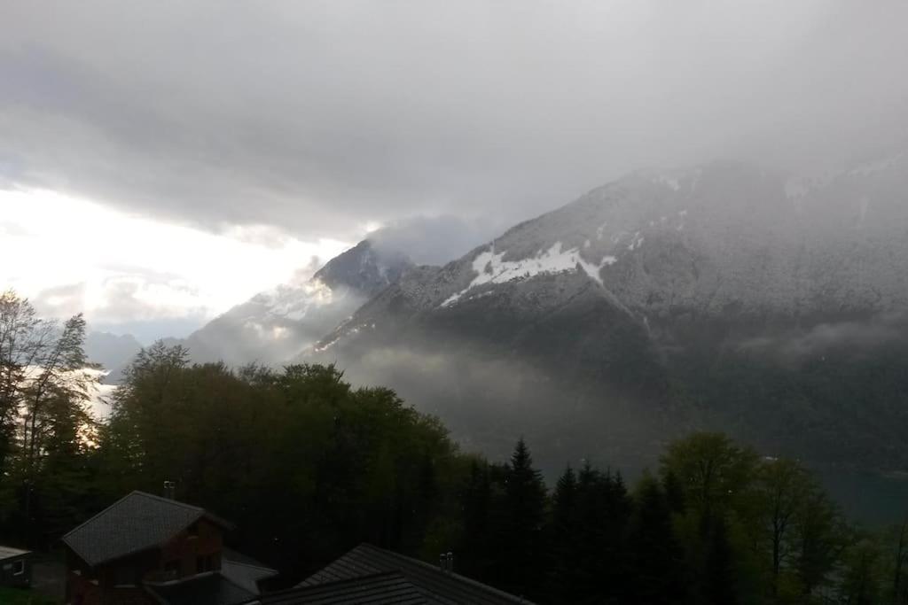 Guest Flat in the Swiss Mountains (Lake View)