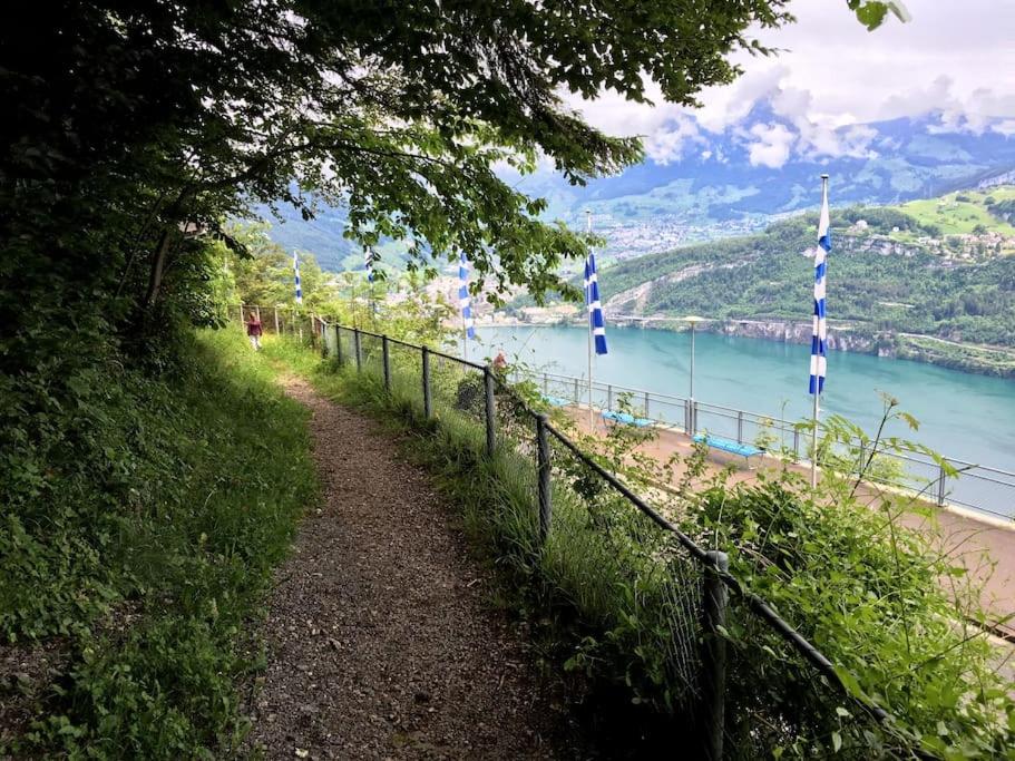 Guest Flat in the Swiss Mountains (Lake View)