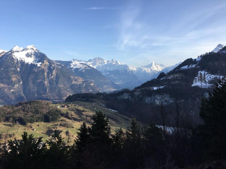 Guest Flat in the Swiss Mountains (Lake View)