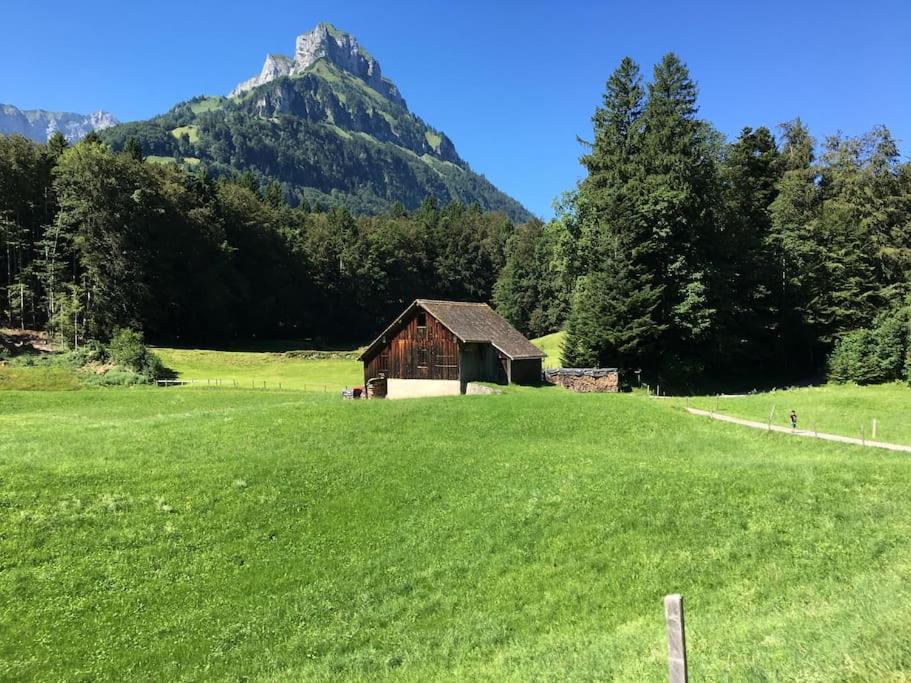 Guest Flat in the Swiss Mountains (Lake View)