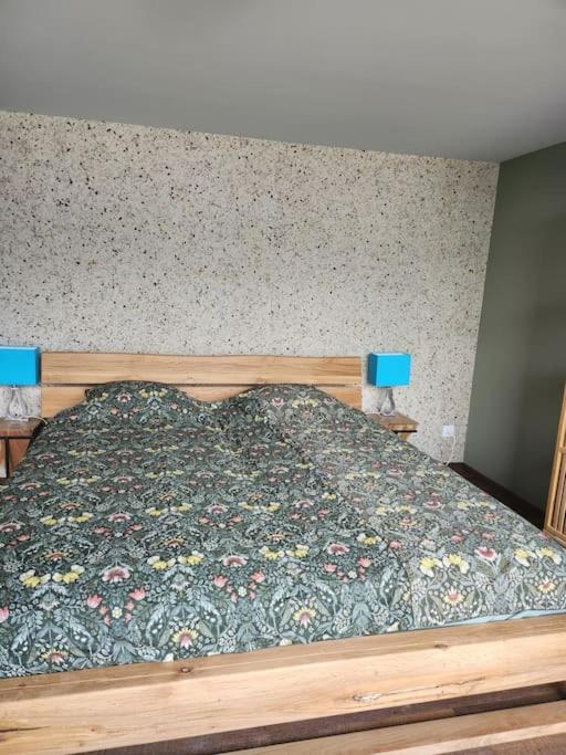Guest Flat in the Swiss Mountains (Lake View)