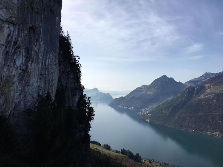 Guest Flat in the Swiss Mountains (Lake View)