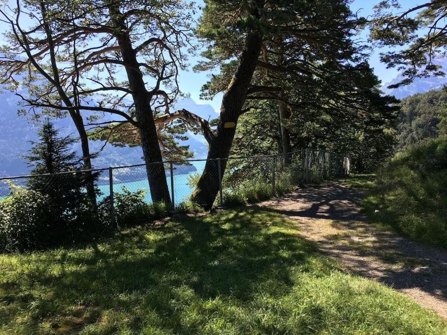 Guest Flat in the Swiss Mountains (Lake View)