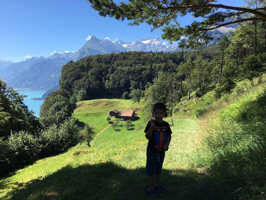 Guest Flat in the Swiss Mountains (Lake View)