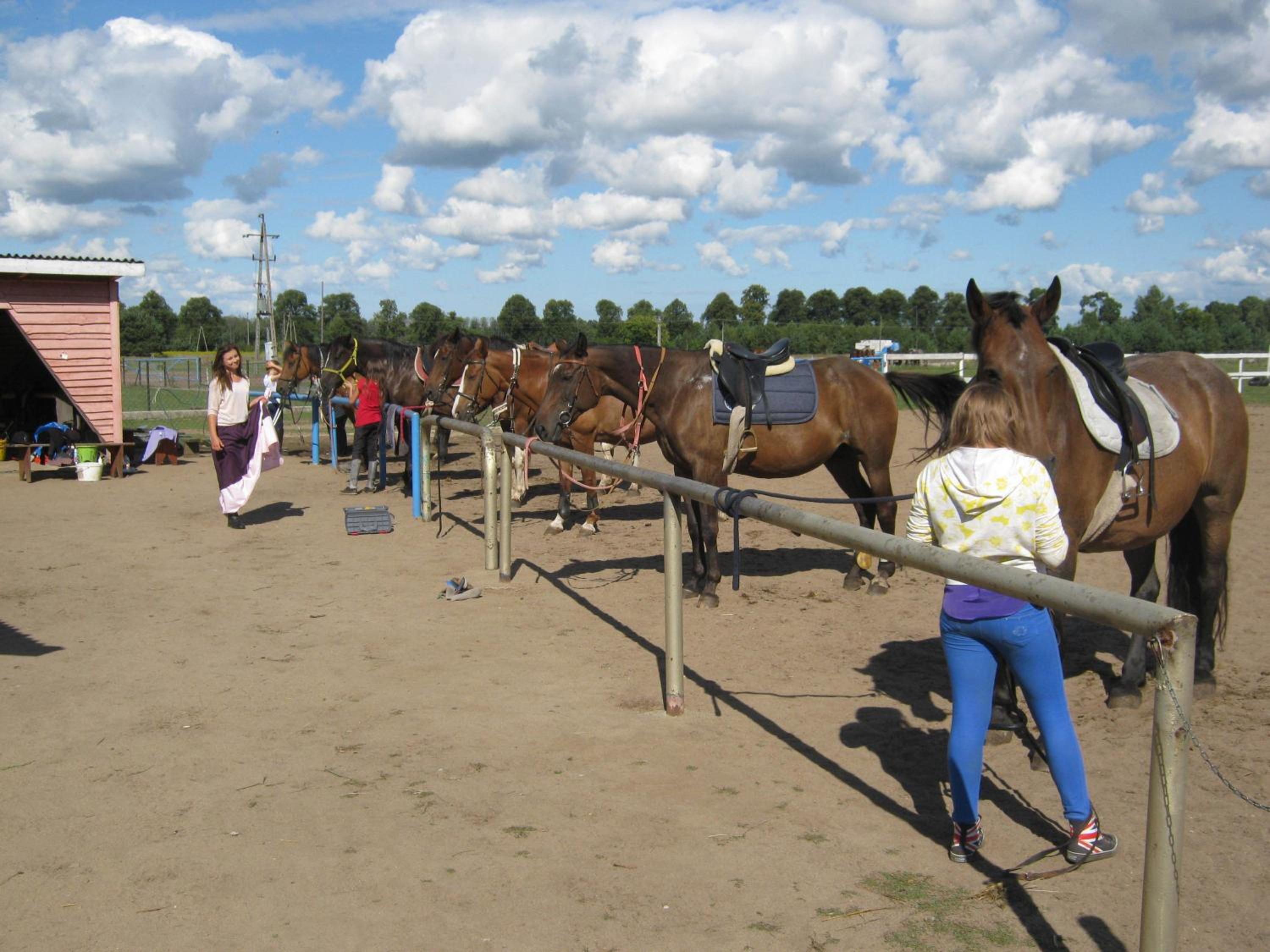 activities & amenities