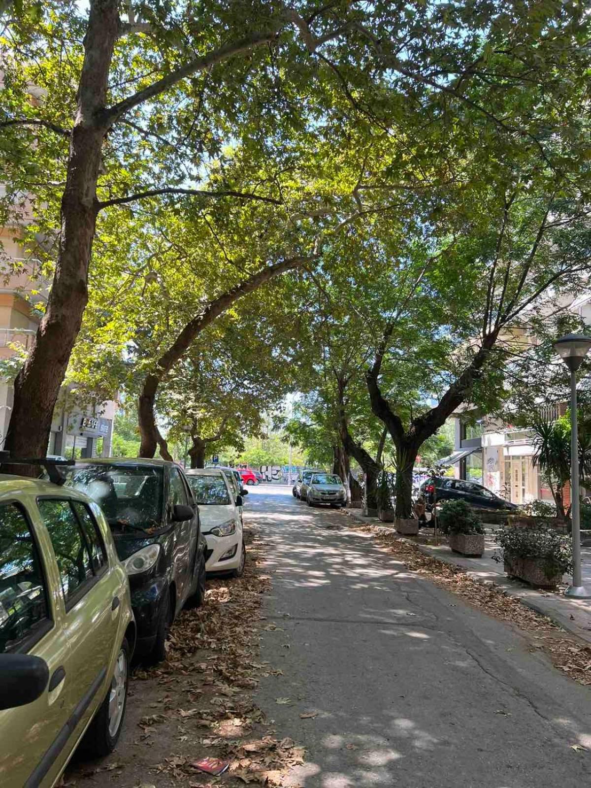 parking