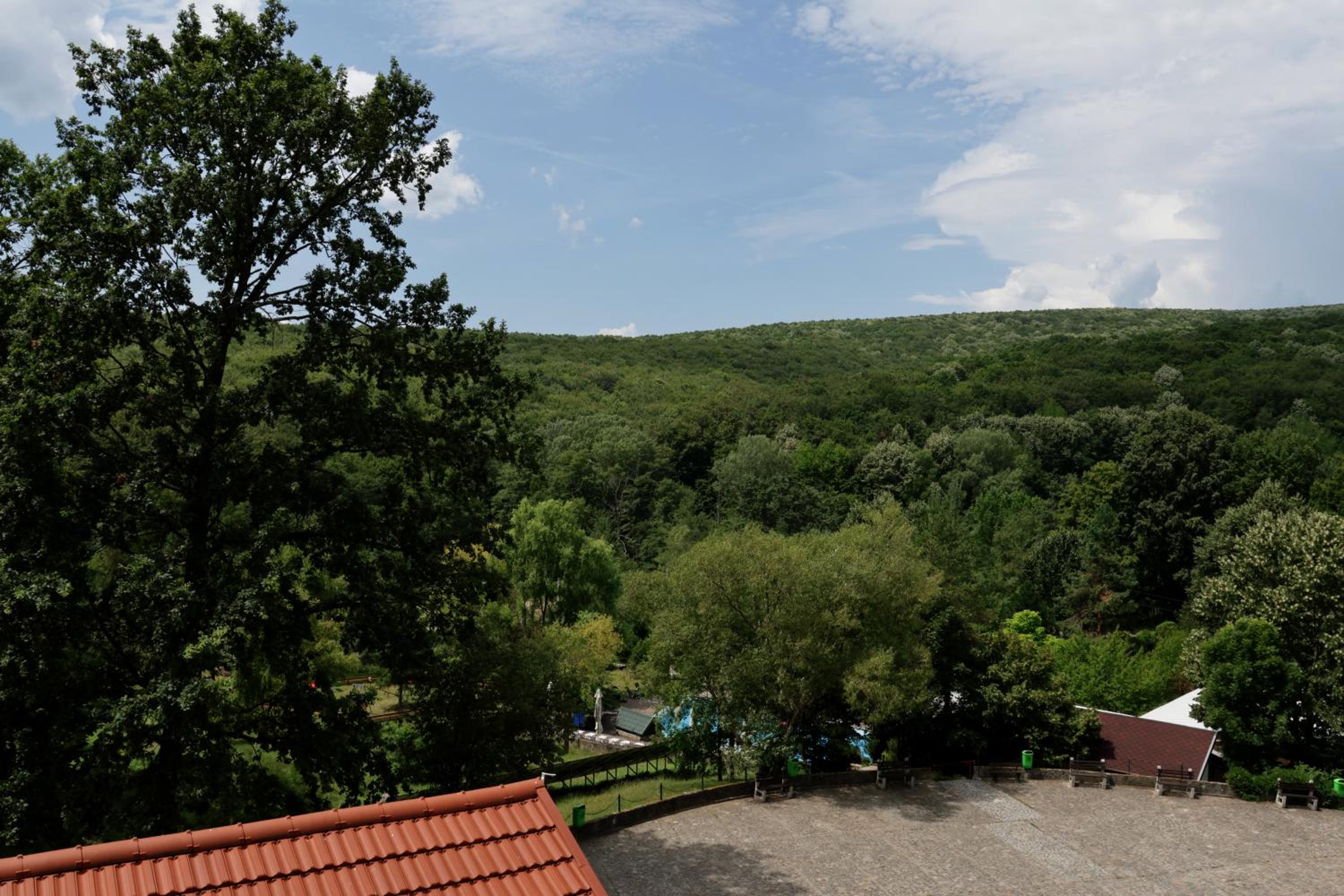 Hotel McPietroasa view 3