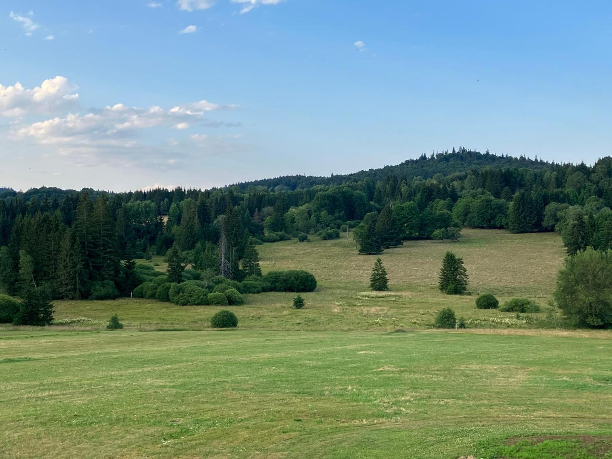 Ferienwohnung Auersbergsreut