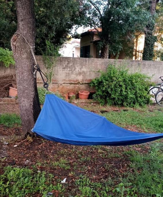 CASALEDO TIRRENIA